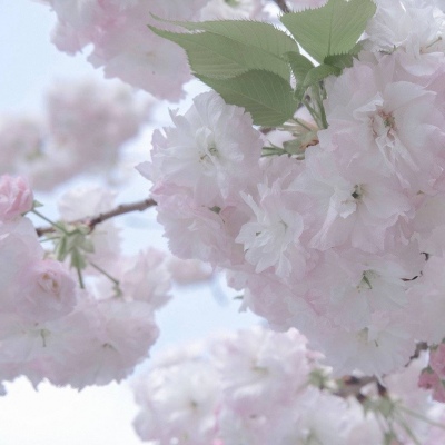 兴山FurryQQ群介绍